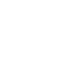 AI Force