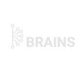 wired brains